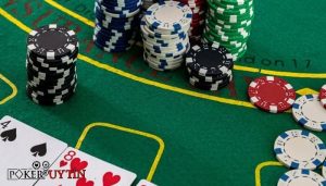 Fish trong Poker là gì? 5 cách nhận diện & xử lý khi gặp fish