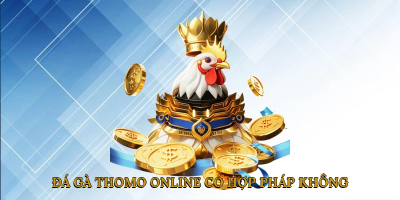 Đá Gà Thomo Online Có Hợp Pháp Không? Có Nên Tham Gia?